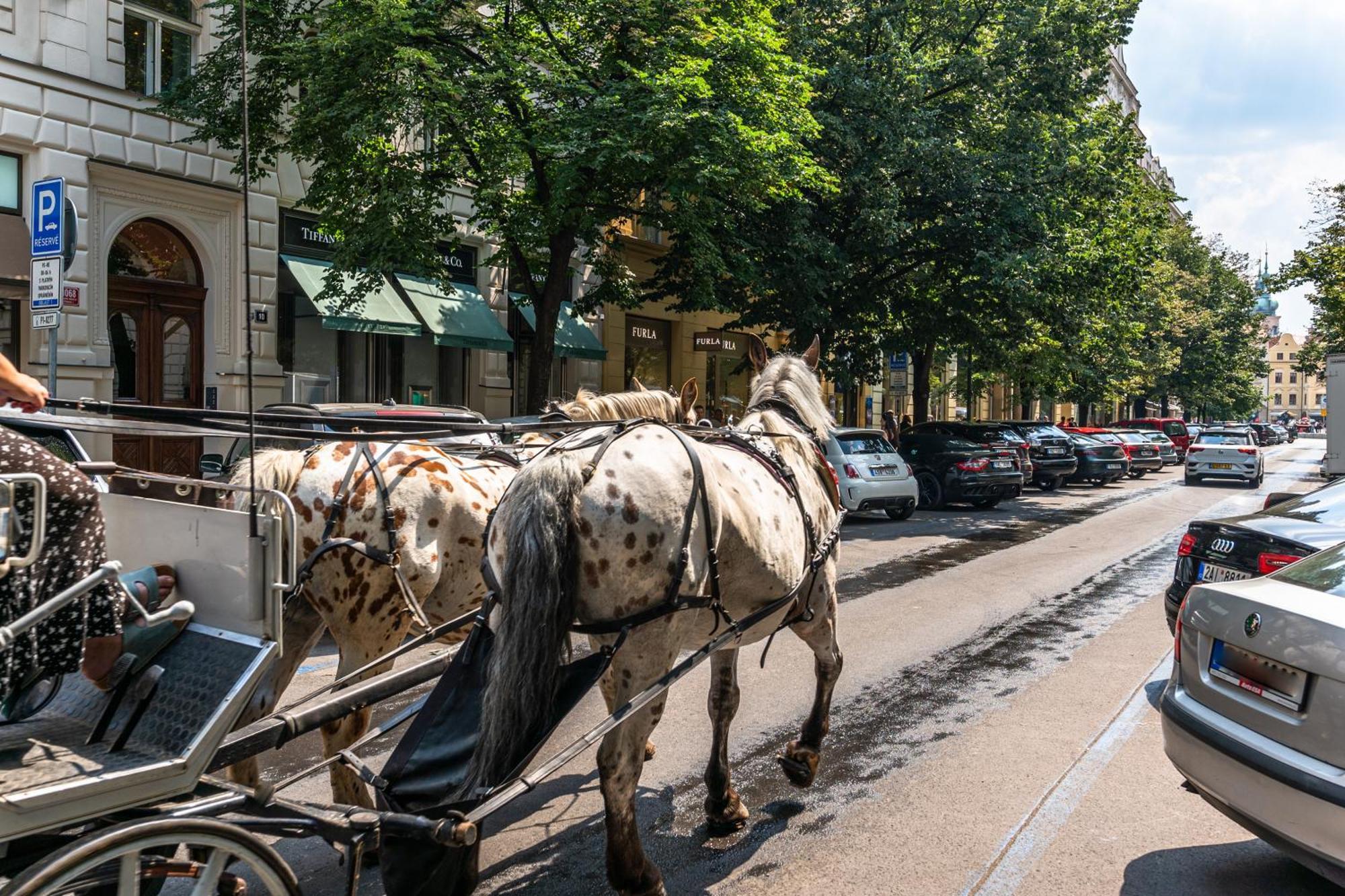Wishlist Old Prague Residences - Hastalska Dış mekan fotoğraf